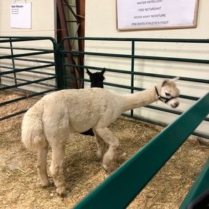 Meet your Posher, Torilyn